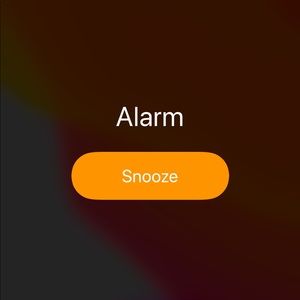 Meet your Posher, Samir